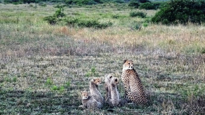 Familienleben - Südafrika